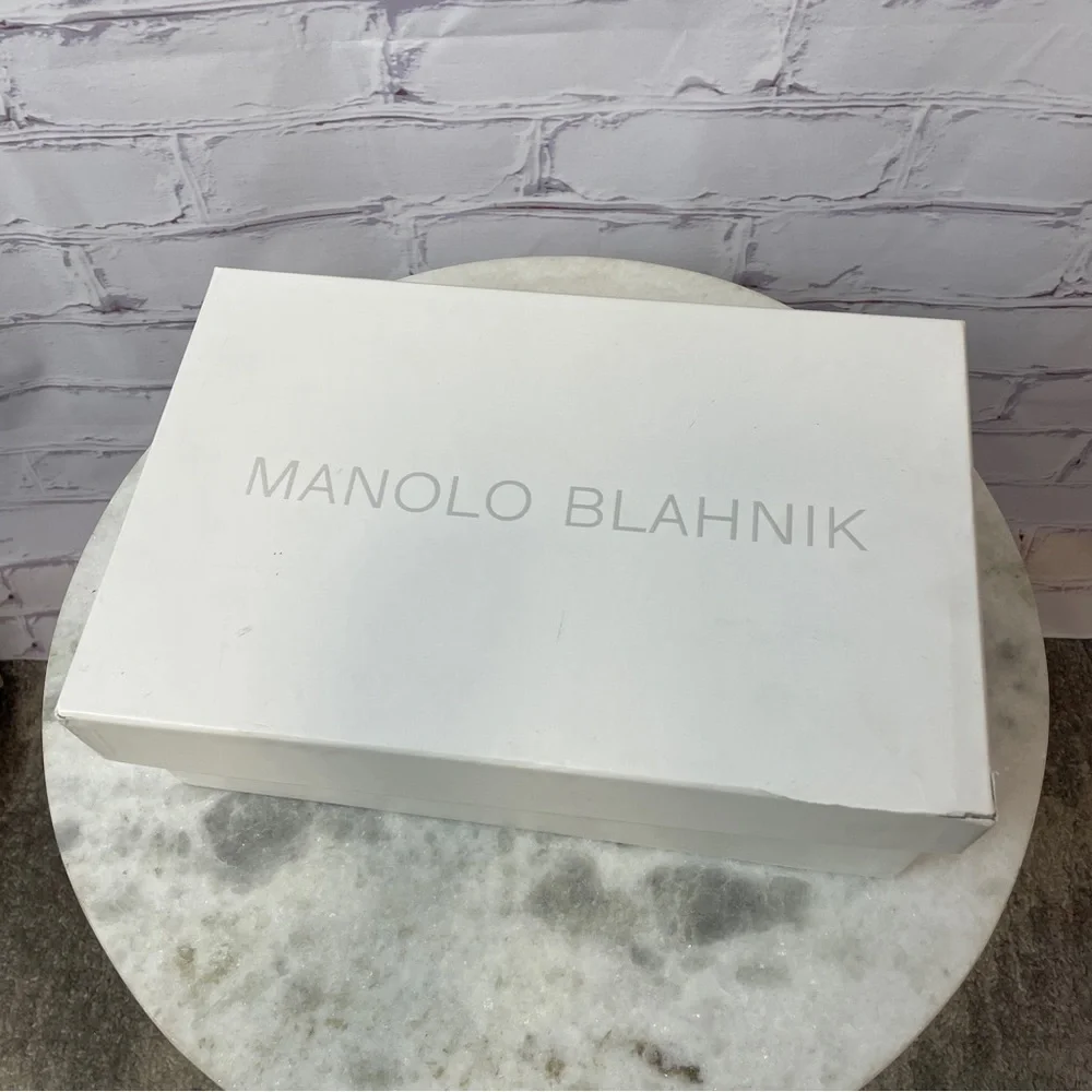 Manolo Blahnik Hangisi - Picture 7 of 8